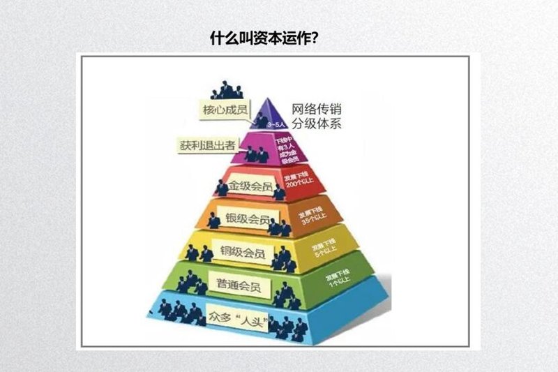 资产管理攻略:如何选好适合你的方案?